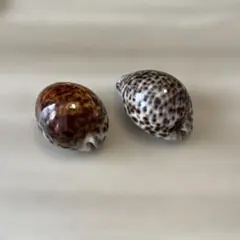 Item thumbnail for item a8b12b99-dcea-4cba-bc6e-88eca956006e