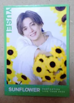 FANTASTICS　SUNFLOWER　フォトカード　シクレ　八木勇征