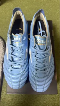 モレリアネオ4 Japan 26センチ