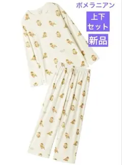 【新品】ジェラートピケ　ポメラニアン総柄ロンT &ロングパンツ