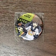 リボーン アニメイトフェア 特典缶バッジ