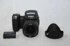 2025年最新】dsc-r1の人気アイテム - メルカリ