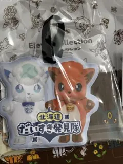 ポケモンローカル Acts 物産展 ラゲッジタグ　ロコン