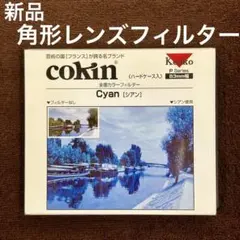 Item thumbnail for item 1bf9e940-8d8c-45d9-a9ea-ec1583525ed8