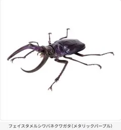 Item thumbnail for item 0009b9ec-fe58-4616-96e6-7d3da7d4852f