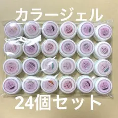 【新品未使用】ジェルネイル3g 24個セット(876)