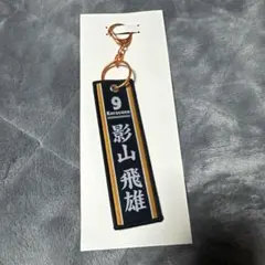 ハイキュー!!タイトーくじ　G賞 影山飛雄