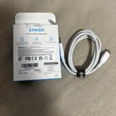 タイプc Lightningケーブル