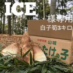 ICE様専用 白子筍3キロクール