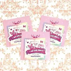 【非売品 ステッカー】ミニーのファンダーランド 卒業しない 旅行　パルパルーザ