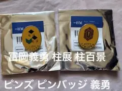 2026年最新】柱展 冨岡義勇 コレクションピンズの人気アイテム - メルカリ