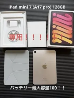美品 iPad mini 7 (A17Pro) 128GB ダイナミックフォリオ