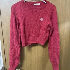 胸刺繍ケーブルNTPO ems excite クロップドニット