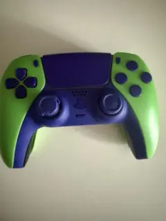 L*N様 背面付きPS5コントローラー