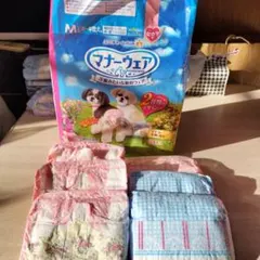 Item thumbnail for item d869e4a5-7196-4a68-857d-f6ea584f42b4