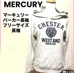 パーカー　スウェットプル　長袖　グレー　フリーサイズ