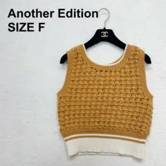【美品】アナザーエディション　ポップコーンノースリーブ　ニット　ベスト（1116のサムネイル