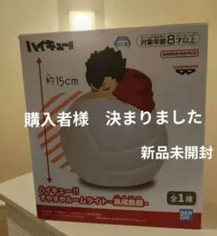 ご購入者　決定のため　他の方はご遠慮ください。 プライズフィギュア