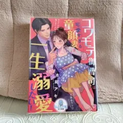 コワモテ御曹司は可愛すぎる童顔妻を一生溺愛したい!