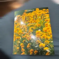 Item thumbnail for item b2fc2530-5320-4ec4-bb6a-350ca049f06d