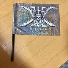 三代目J SOUL brothers フラッグ