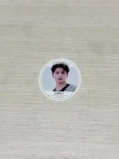 SEVENTEEN グミ ステッカー ディノ