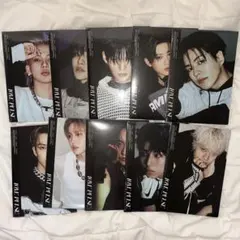 treasure アルバム 新品未開封 LOVE PULSE