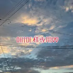 OHIDE様専用ページ♡♡ヒロアカばんちょうこう ヘアクリップ【轟 焦凍】