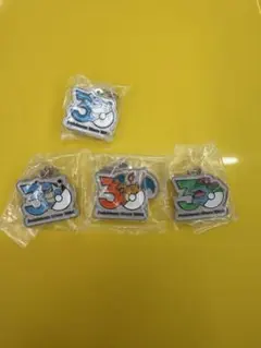 ポケモン 30周年記念 メタルチャーム