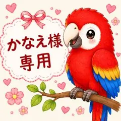 かなえ様　専用