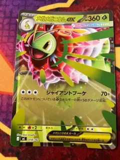 2026年最新】メガニウムexの人気アイテム - メルカリ
