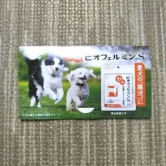 Item thumbnail for item 83afc73a-5131-4bbf-8213-ad807a653e5c