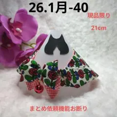 Item thumbnail for item 718e097f-7a47-4332-bb3c-575065cc2db7