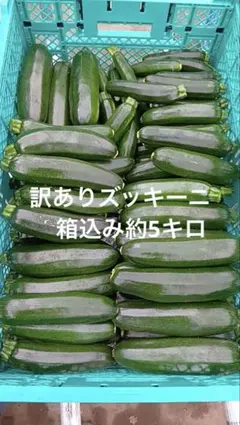 訳ありズッキーニ　箱込み約5キロのサムネイル