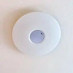 Item thumbnail for item f6eb9bcc-61a1-40d6-bb43-c047fe21e580