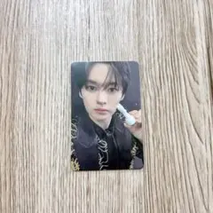 リノ 日本シーグリ 封入トレカ straykids