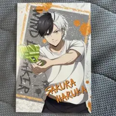 桜遥 ポストカード