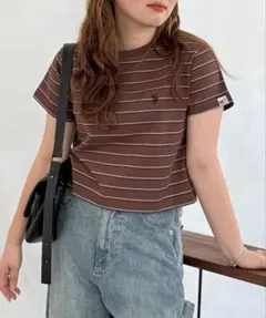 【CPCM】U.S. POLO ASSN. ボーダー クロップドTシャツのサムネイル