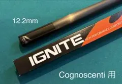 2026年最新】IGNITE イグナイト ビリヤードの人気アイテム - メルカリ
