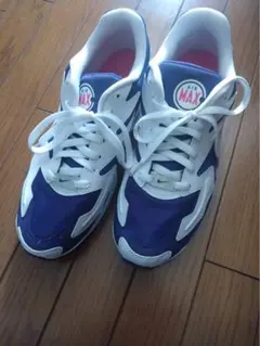 Nike Air Max 2 Light Purple Berry 28cm