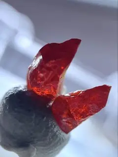 宝石質 リアルガー 鶏冠石 欠片