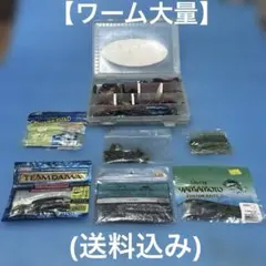 2026年最新】ワームまとめ売りの人気アイテム - メルカリ