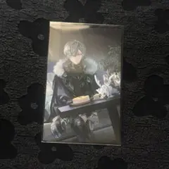 匿名配送◼︎ノスタルジアコレクション　小柳ロウ