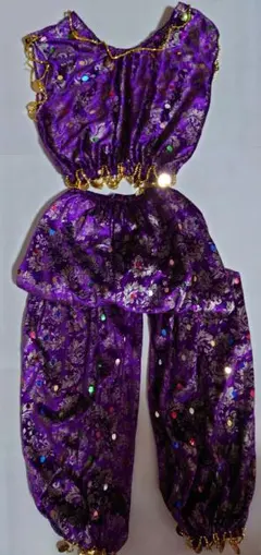 トルコ製　ベリーダンス　衣装　オリエンタル　紫　S XS ベロア　新品