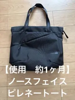 【使用少】ノースフェイス　ピレネートート