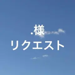 .様 リクエスト 6点 まとめ商品