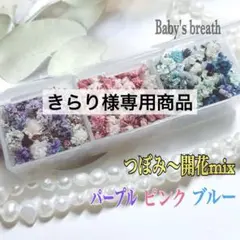 きらり様専用♥️ かすみ草ドライフラワー つぼみ～開花mix 他計4点