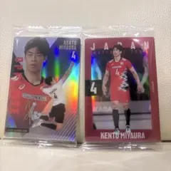 Item thumbnail for item 8e839410-e779-4319-bfb0-41cf114cfb4c