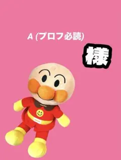 A (プロフ必読)様専用