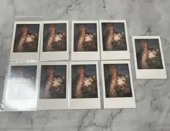 2026年最新】めいちゃん 缶バッジ 太陽のマーチの人気アイテム - メルカリ